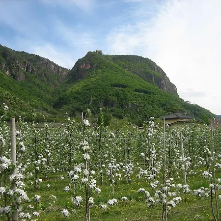 Greifenstein 3*